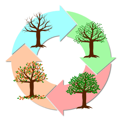 seasons-of-the-year-2019523_960_720